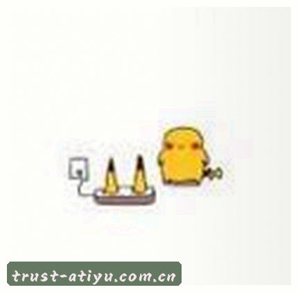 孙丽